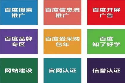 案例分析：SEM广告助力电商行业突破
