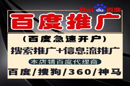 成功案例：SEM推广助力企业拓展海外市场